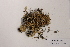  ( - CCDB-48754 E01)  @11 [ ] CreativeCommons  Attribution (by) (2024) Erin Cox Polar Knowledge Canada