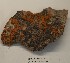  (Xanthoria sorediata - CCDB-48753 G08)  @11 [ ] CreativeCommons  Attribution (by) (2024) Erin Cox Polar Knowledge Canada