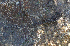  ( - LIO- ASQ 120)  @11 [ ] CreativeCommons - Attribution Non-Commercial No Derivatives (2015) Unspecified IBIGEO