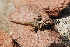  ( - LIO-CSA 1074)  @11 [ ] CreativeCommons - Attribution Non-Commercial No Derivatives (2015) Unspecified FML