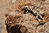  ( - LIO-CSA 1206)  @11 [ ] CreativeCommons - Attribution Non-Commercial No Derivatives (2015) Unspecified FML