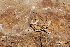  ( - LIO-CSA 1233)  @11 [ ] CreativeCommons - Attribution Non-Commercial No Derivatives (2015) Unspecified FML