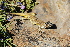  ( - LIO-OGS 3378)  @11 [ ] CreativeCommons - Attribution Non-Commercial No Derivatives (2015) Unspecified FML