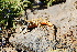  ( - LIO-OGS 3381)  @11 [ ] CreativeCommons - Attribution Non-Commercial No Derivatives (2015) Unspecified FML