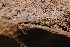  ( - LIO-OGS 3388)  @11 [ ] CreativeCommons - Attribution Non-Commercial No Derivatives (2015) Unspecified FML