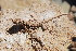  ( - LIO-OGS 4269)  @11 [ ] CreativeCommons - Attribution Non-Commercial No Derivatives (2015) Unspecified FML