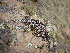  ( - LIO- CSA 1538)  @11 [ ] CreativeCommons - Attribution Non-Commercial No Derivatives (2015) Unspecified FML
