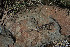  ( - LIO- CSA 1787)  @11 [ ] CreativeCommons - Attribution Non-Commercial No Derivatives (2015) Unspecified FML