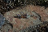  ( - LIO- CSA 1796)  @11 [ ] CreativeCommons - Attribution Non-Commercial No Derivatives (2015) Unspecified FML