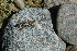  ( - LIO- FML 10098)  @11 [ ] CreativeCommons - Attribution Non-Commercial No Derivatives (2015) Unspecified FML