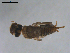  ( - BIOUG00642-D04)  @12 [ ] CreativeCommons - Attribution (2011) CBG Photography Group Centre for Biodiversity Genomics