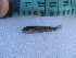  ( - Sf010)  @11 [ ] Unspecified (default): All Rights Reserved  Unspecified Unspecified