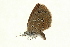  ( - AC0010-8033922)  @12 [ ] CreativeCommons - Attribution (2010) Unspecified Centre for Biodiversity Genomics