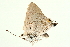  ( - AC0044-8001832)  @12 [ ] CreativeCommons - Attribution (2010) Unspecified Centre for Biodiversity Genomics