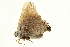  ( - AC0045-8001851)  @12 [ ] CreativeCommons - Attribution (2010) Unspecified Centre for Biodiversity Genomics