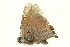  ( - AC0047-8002048)  @11 [ ] CreativeCommons - Attribution (2010) Unspecified Centre for Biodiversity Genomics