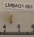  ( - LMBAG1-001)  @11 [ ] Unspecified (default): All Rights Reserved  Unspecified Unspecified