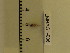  ( - LMBAG1-006)  @11 [ ] Unspecified (default): All Rights Reserved  Unspecified Unspecified