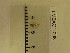  ( - LMBAG1-008)  @11 [ ] Unspecified (default): All Rights Reserved  Unspecified Unspecified