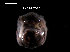  ( - LMBAG27-001)  @11 [ ] Unspecified (default): All Rights Reserved  Unspecified Unspecified