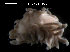  ( - LMBAG34-001)  @12 [ ] Unspecified (default): All Rights Reserved  Unspecified Unspecified