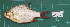  ( - KR2015-34)  @11 [ ] CreativeCommons - Attribution Non-Commercial Share-Alike (2015) IFReDI Inland Fisheries Research and Development Institute