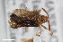  ( - CSE729)  @11 [ ] CreativeCommons  Attribution Share-Alike (by-sa) 4.0 (2016) Unspecified Zoologisches Forschungsmuseum Alexander Koenig