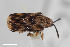  ( - CSE1348)  @11 [ ] CreativeCommons  Attribution Share-Alike (by-sa) 4.0 (2016) Unspecified Zoologisches Forschungsmuseum Alexander Koenig