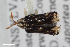  ( - CSE1369)  @11 [ ] CreativeCommons  Attribution Share-Alike (by-sa) 4.0 (2016) Unspecified Zoologisches Forschungsmuseum Alexander Koenig