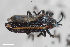  ( - CSE1388)  @11 [ ] CreativeCommons  Attribution Share-Alike (by-sa) 4.0 (2016) Unspecified Zoologisches Forschungsmuseum Alexander Koenig