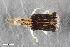  ( - CSE1713.3)  @11 [ ] CreativeCommons  Attribution Share-Alike (by-sa) 4.0 (2016) Unspecified Zoologisches Forschungsmuseum Alexander Koenig