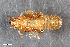  ( - CSE1760)  @11 [ ] CreativeCommons  Attribution Share-Alike (by-sa) 4.0 (2016) Unspecified Zoologisches Forschungsmuseum Alexander Koenig