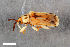  ( - CSE1899.2)  @12 [ ] CreativeCommons  Attribution Share-Alike (by-sa) 4.0 (2016) Unspecified Zoologisches Forschungsmuseum Alexander Koenig