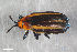  ( - CSE1904)  @12 [ ] CreativeCommons  Attribution Share-Alike (by-sa) 4.0 (2016) Unspecified Zoologisches Forschungsmuseum Alexander Koenig