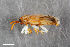  ( - CSE1906.2)  @11 [ ] CreativeCommons  Attribution Share-Alike (by-sa) 4.0 (2016) Unspecified Zoologisches Forschungsmuseum Alexander Koenig
