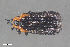  ( - CSE2231)  @12 [ ] CreativeCommons  Attribution Share-Alike (by-sa) 4.0 (2016) Unspecified Zoologisches Forschungsmuseum Alexander Koenig