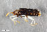  ( - CSE1713.4)  @11 [ ] CreativeCommons  Attribution Share-Alike (by-sa) 4.0 (2016) Unspecified Zoologisches Forschungsmuseum Alexander Koenig
