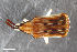  ( - CSE2828.1)  @11 [ ] CreativeCommons  Attribution Share-Alike (by-sa) 4.0 (2017) Unspecified Zoologisches Forschungsmuseum Alexander Koenig
