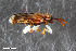  ( - CSE2991)  @11 [ ] CreativeCommons  Attribution Share-Alike (by-sa) 4.0 (2017) Unspecified Zoologisches Forschungsmuseum Alexander Koenig