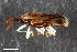  ( - CSE2991.1)  @11 [ ] CreativeCommons  Attribution Share-Alike (by-sa) 4.0 (2017) Unspecified Zoologisches Forschungsmuseum Alexander Koenig