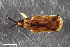  ( - CSE3071)  @11 [ ] CreativeCommons  Attribution Share-Alike (by-sa) 4.0 (2017) Unspecified Zoologisches Forschungsmuseum Alexander Koenig