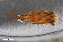  ( - CSE3074)  @11 [ ] CreativeCommons  Attribution Share-Alike (by-sa) 4.0 (2017) Unspecified Zoologisches Forschungsmuseum Alexander Koenig