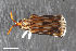  ( - CSE3077)  @11 [ ] CreativeCommons  Attribution Share-Alike (by-sa) 4.0 (2017) Unspecified Zoologisches Forschungsmuseum Alexander Koenig