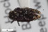  ( - CSE1097.1)  @11 [ ] CreativeCommons  Attribution Share-Alike (by-sa) 4.0 (2017) Unspecified Zoologisches Forschungsmuseum Alexander Koenig