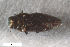  ( - CSE2578.3)  @11 [ ] CreativeCommons  Attribution Share-Alike (by-sa) 4.0 (2017) Unspecified Zoologisches Forschungsmuseum Alexander Koenig