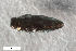  ( - CSE2711)  @11 [ ] CreativeCommons  Attribution Share-Alike (by-sa) 4.0 (2017) Unspecified Zoologisches Forschungsmuseum Alexander Koenig