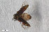  ( - CSE3697)  @11 [ ] CreativeCommons  Attribution Share-Alike (by-sa) 4.0 (2017) Unspecified Zoologisches Forschungsmuseum Alexander Koenig
