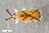  ( - CSE3844.1)  @11 [ ] CreativeCommons  Attribution Share-Alike (by-sa) 4.0 (2017) Unspecified Zoologisches Forschungsmuseum Alexander Koenig