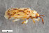  ( - CSE3844.2)  @11 [ ] CreativeCommons  Attribution Share-Alike (by-sa) 4.0 (2017) Unspecified Zoologisches Forschungsmuseum Alexander Koenig