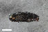  ( - CSE4113)  @11 [ ] CreativeCommons  Attribution Share-Alike (by-sa) 4.0 (2017) Unspecified Zoologisches Forschungsmuseum Alexander Koenig